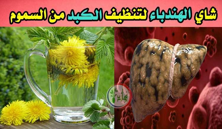 لماذا يجب أن نتناول شاي الهندباء لتنظيف الكبد من السموم كل مساء؟