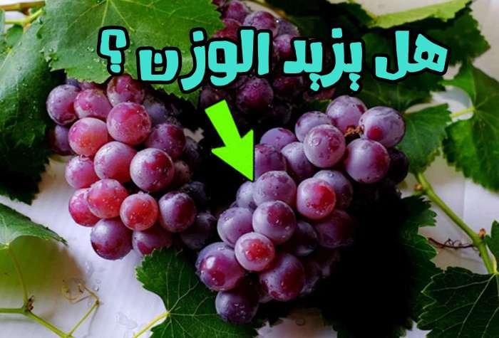 هل يزيد تناول العنب وزنك؟ إليك ما يقوله العلم