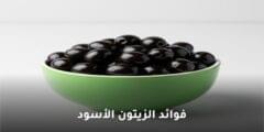 فوائد الزيتون الأسود