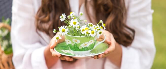 فوائد البابونج للنفاس: تعرف على الفوائد الصحية