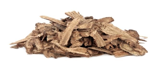 فوائد القسط البحري للنساء: فوائد عديدة ومدهشة