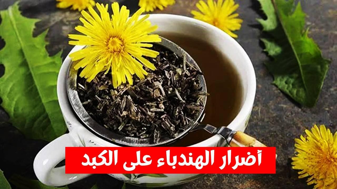 أضرار الهندباء على الكبد: تعرف عليها